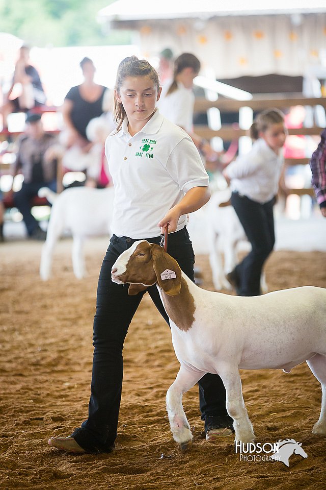 LCFair2016-1532.jpg
