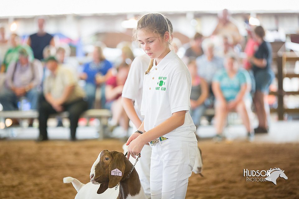 LCFair2016-1535.jpg