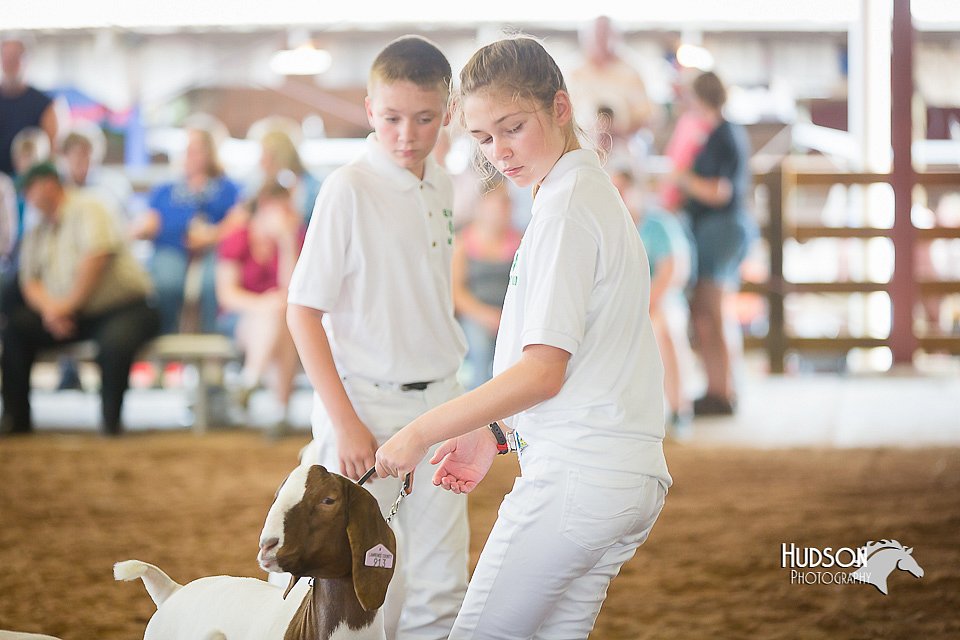 LCFair2016-1536.jpg