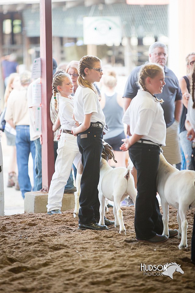 LCFair2016-1539.jpg