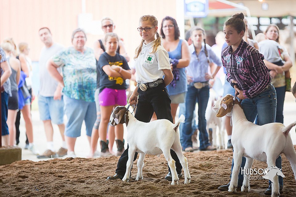 LCFair2016-1553.jpg