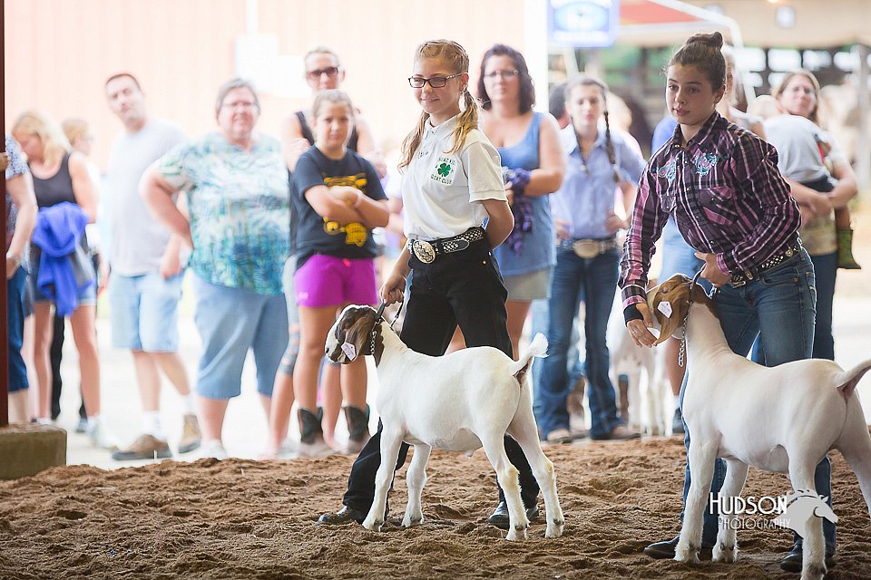 LCFair2016-1554.jpg