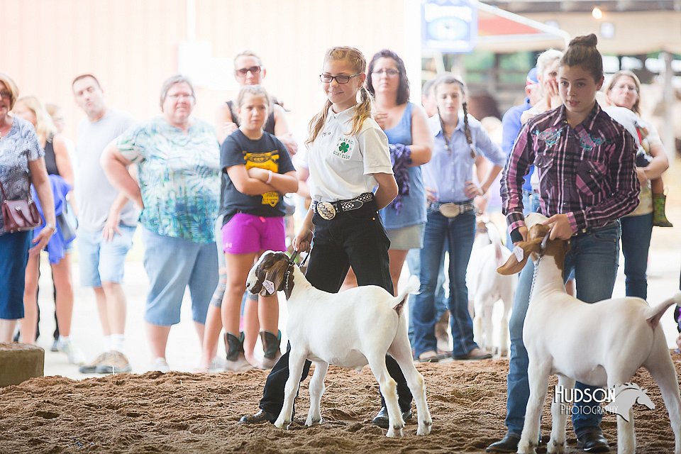 LCFair2016-1555.jpg
