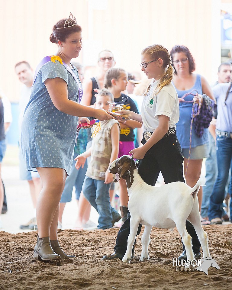 LCFair2016-1556.jpg