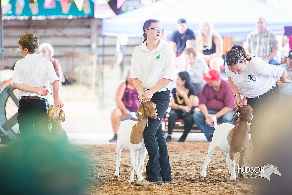 LCFair2016-1559.jpg
