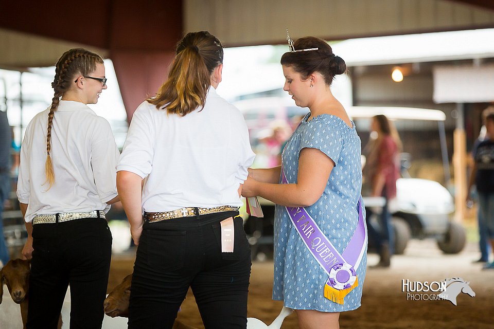 LCFair2016-1560.jpg