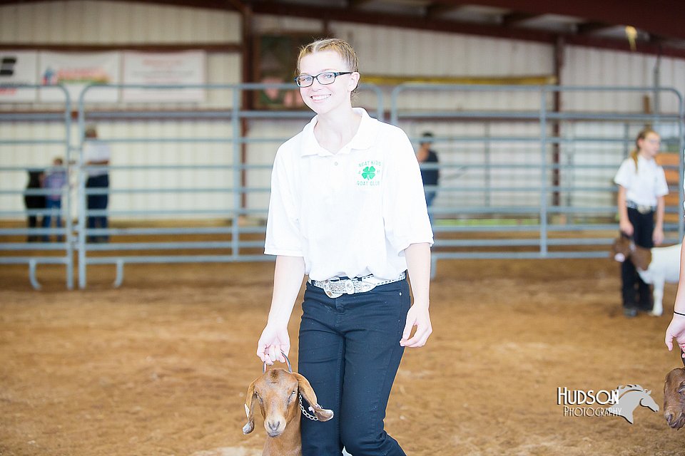 LCFair2016-1562.jpg