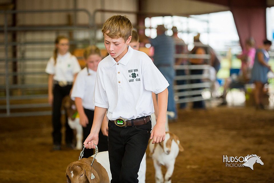 LCFair2016-1563.jpg