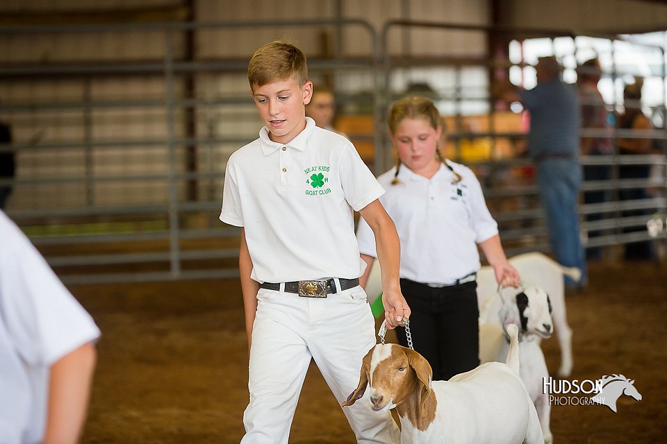 LCFair2016-1564.jpg