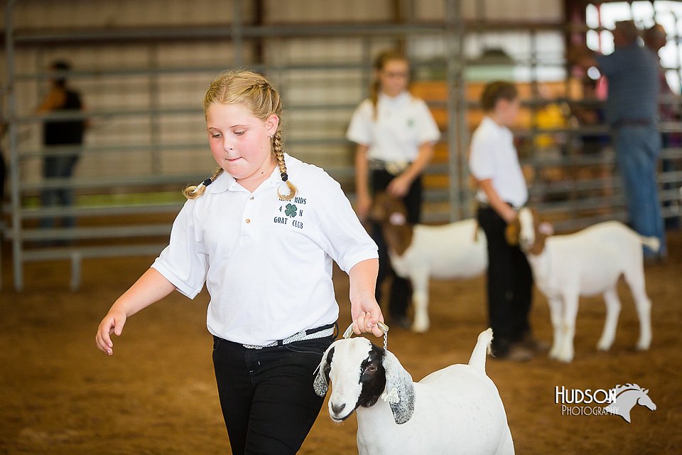LCFair2016-1565.jpg