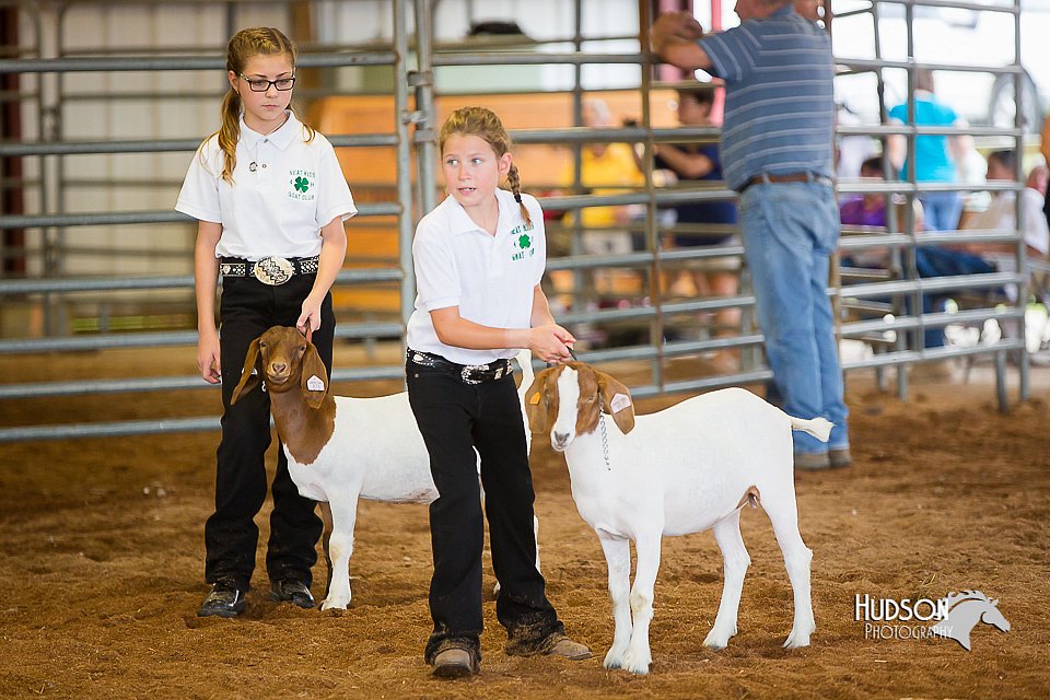 LCFair2016-1566.jpg