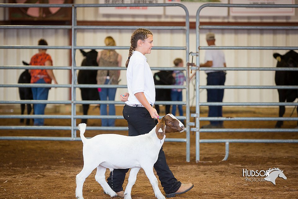 LCFair2016-1569.jpg