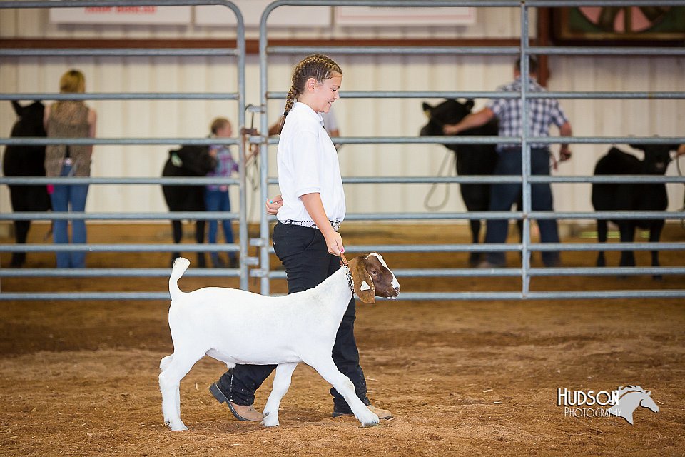 LCFair2016-1570.jpg
