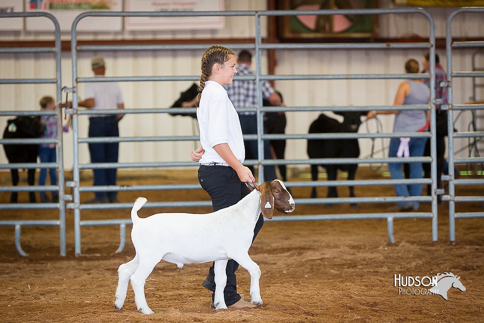 LCFair2016-1571.jpg