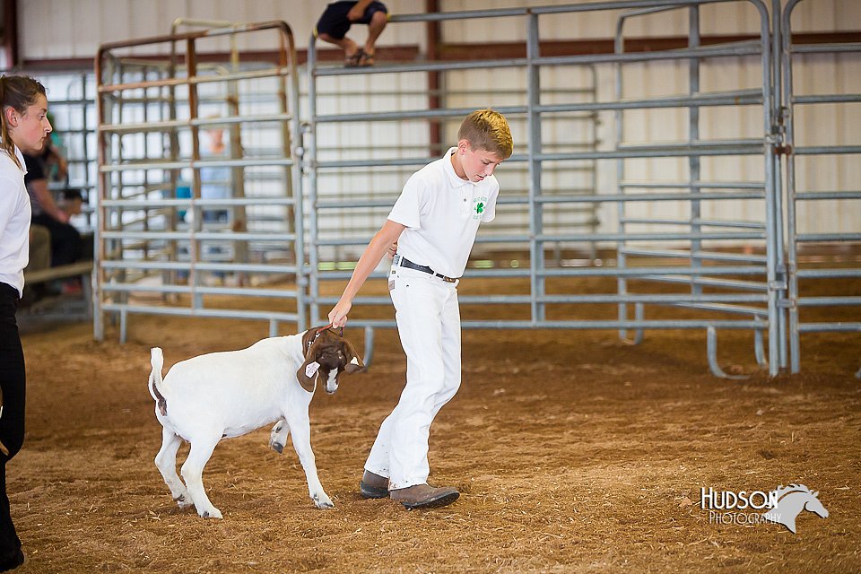 LCFair2016-1572.jpg