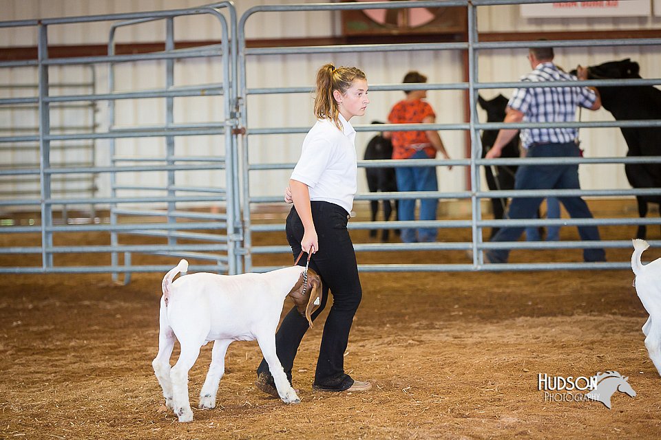 LCFair2016-1575.jpg