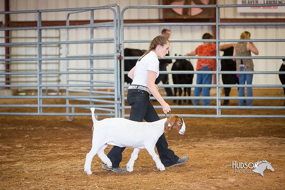 LCFair2016-1576.jpg