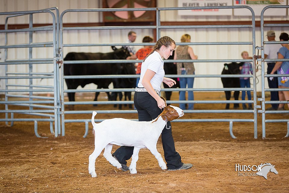 LCFair2016-1577.jpg