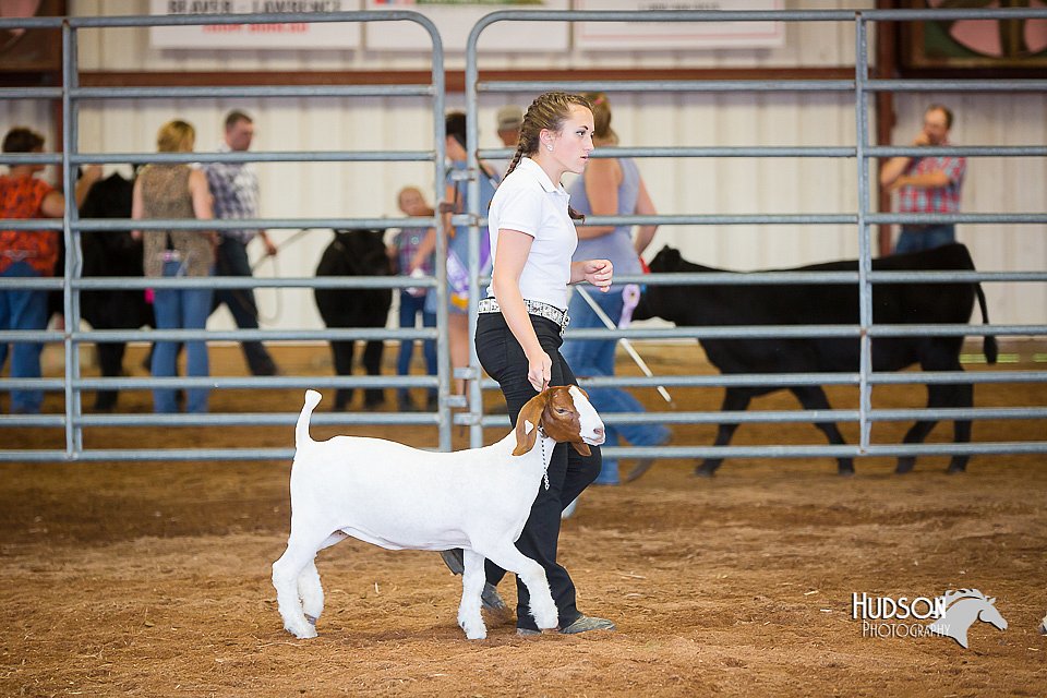 LCFair2016-1578.jpg