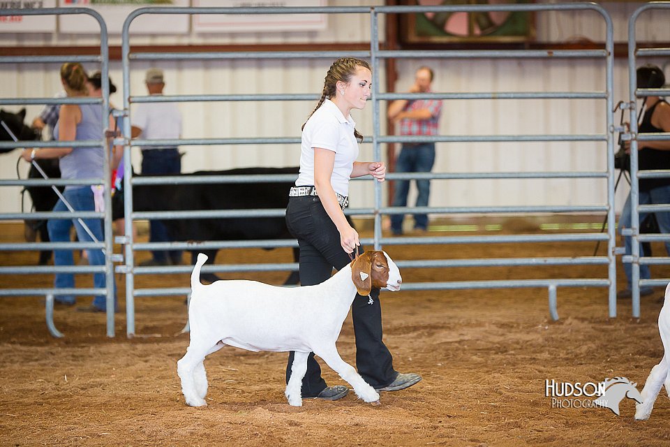 LCFair2016-1579.jpg
