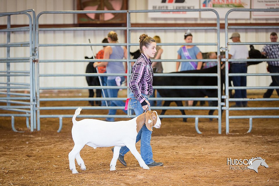 LCFair2016-1580.jpg