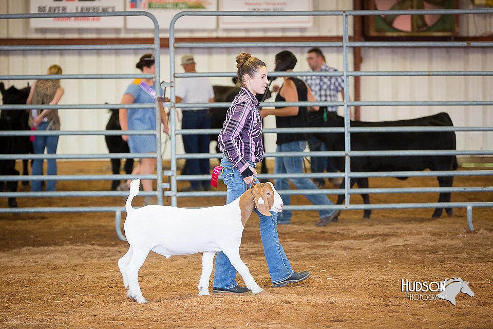 LCFair2016-1581.jpg