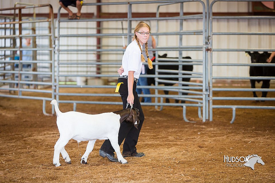 LCFair2016-1582.jpg