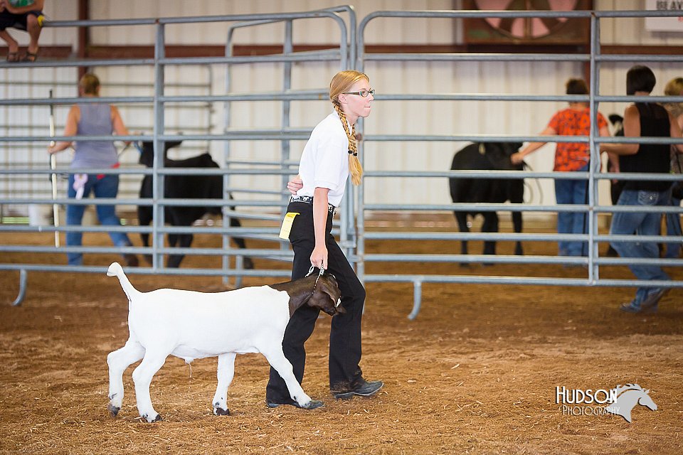 LCFair2016-1583.jpg