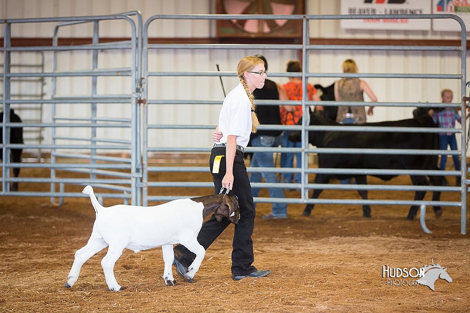 LCFair2016-1584.jpg