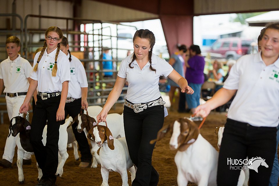 LCFair2016-1585.jpg