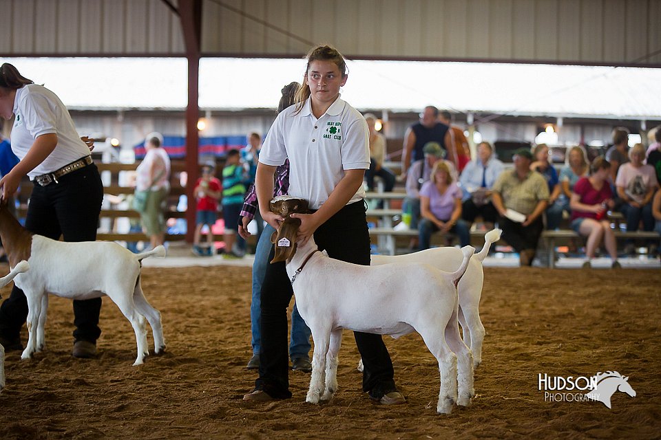 LCFair2016-1600.jpg