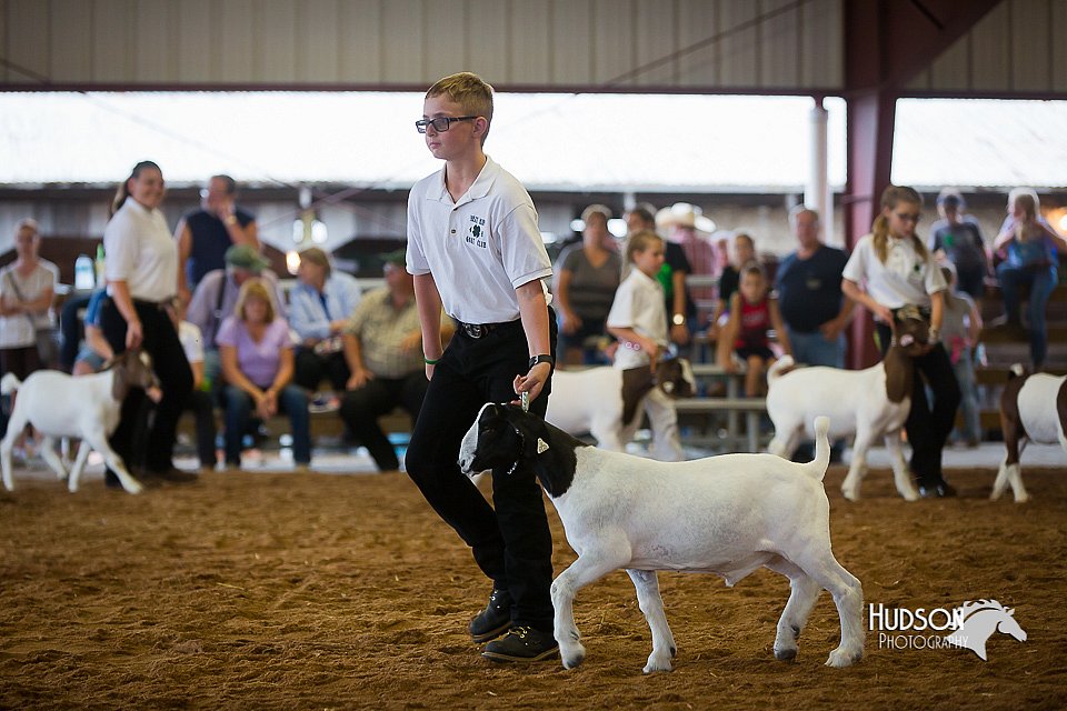 LCFair2016-1601.jpg