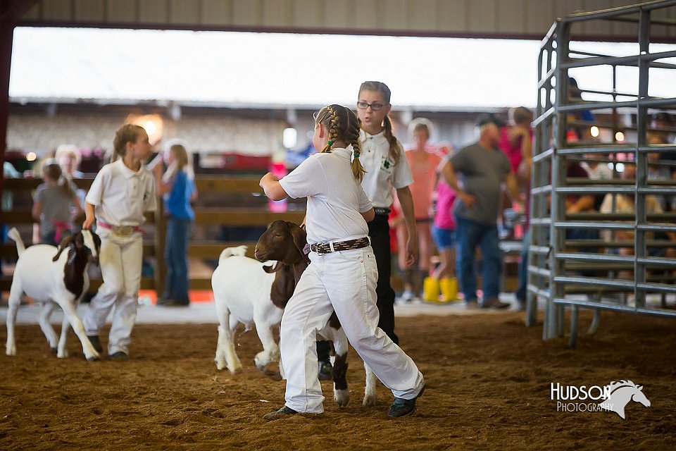 LCFair2016-1602.jpg
