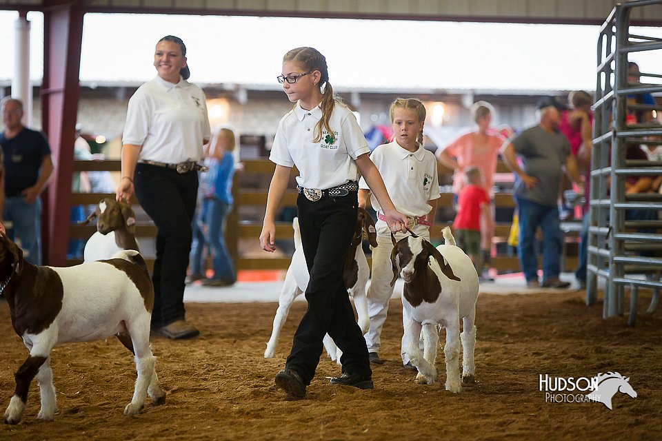 LCFair2016-1604.jpg