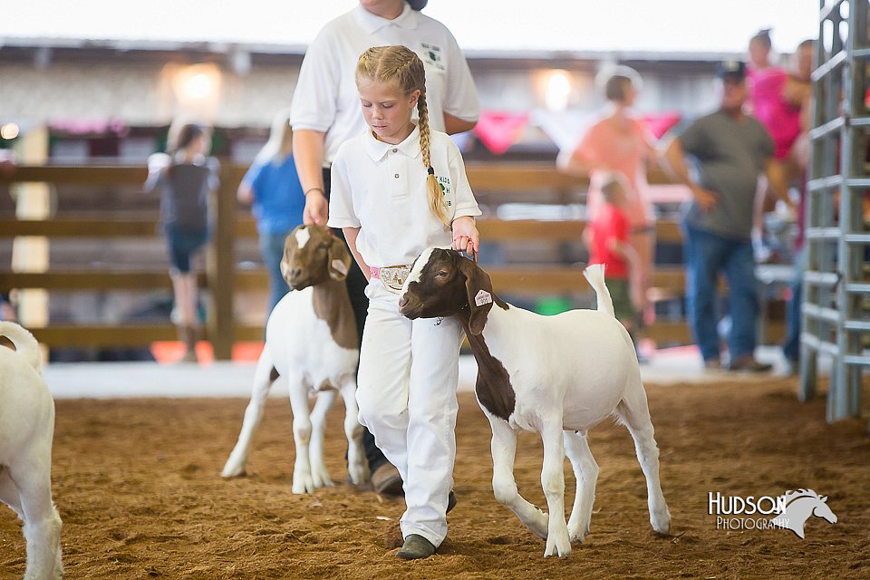 LCFair2016-1606.jpg