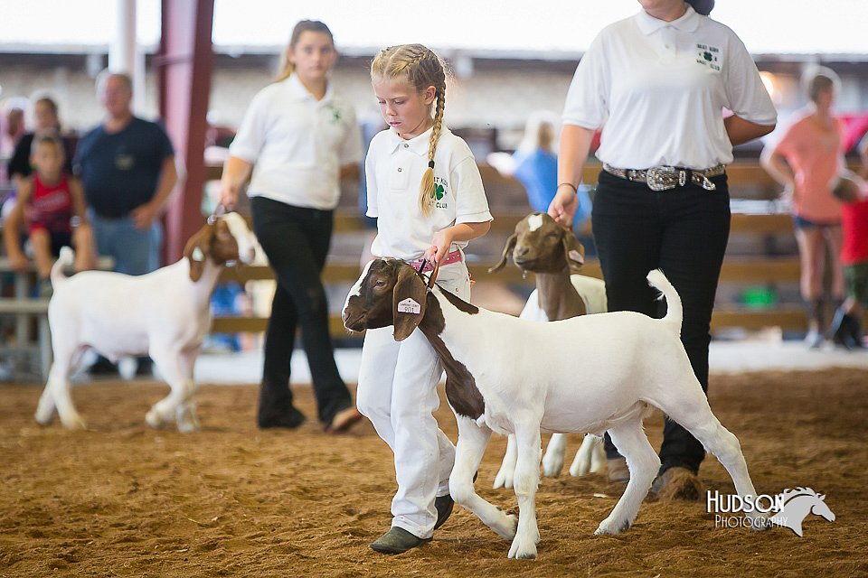 LCFair2016-1607.jpg