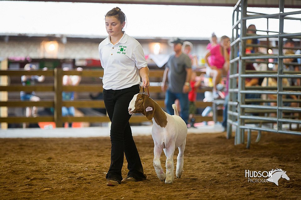 LCFair2016-1609.jpg