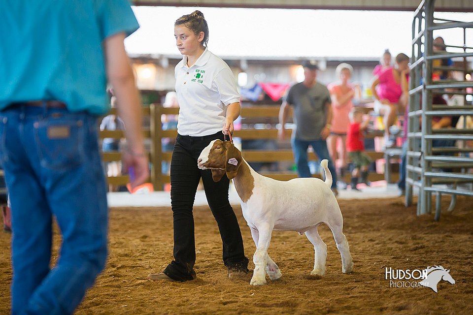 LCFair2016-1610.jpg