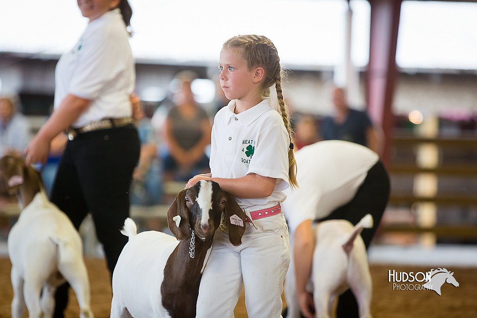 LCFair2016-1611.jpg