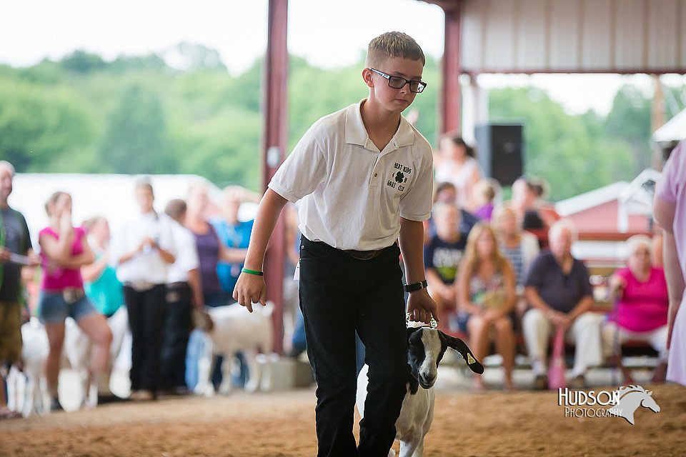 LCFair2016-1612.jpg