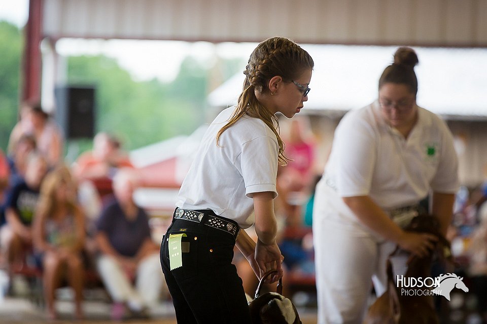 LCFair2016-1613.jpg
