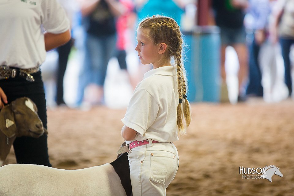 LCFair2016-1619.jpg