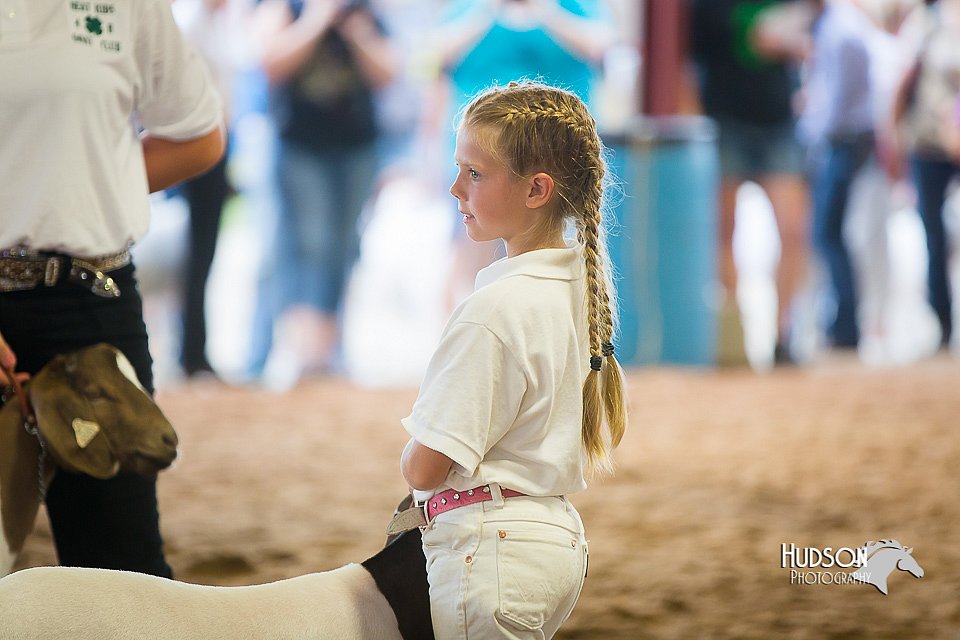 LCFair2016-1620.jpg