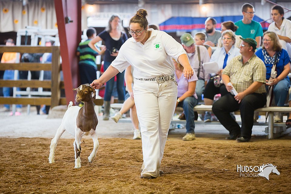 LCFair2016-1641.jpg