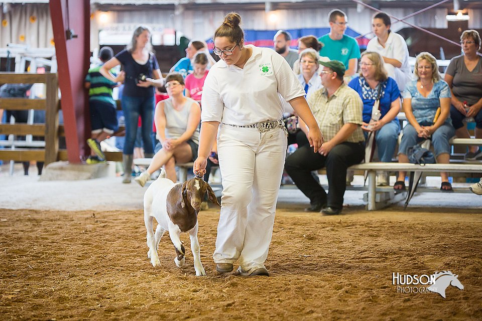 LCFair2016-1642.jpg