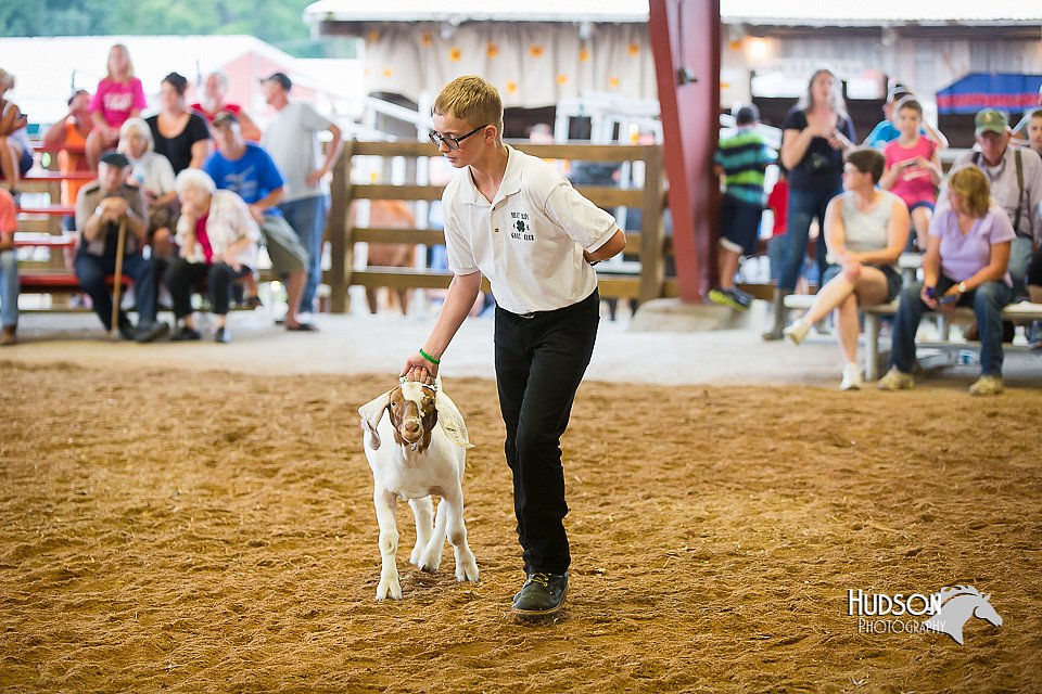 LCFair2016-1643.jpg