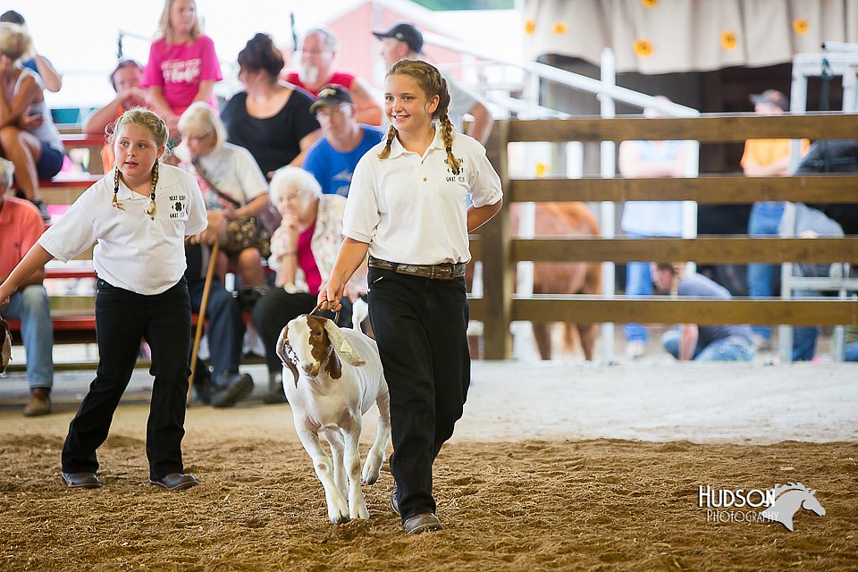 LCFair2016-1645.jpg