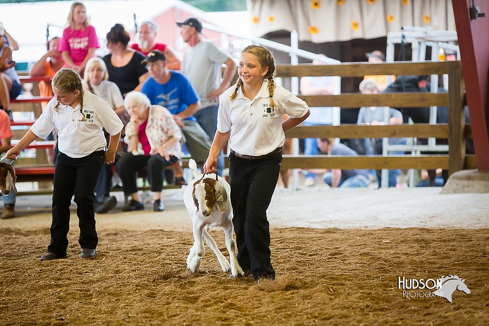 LCFair2016-1646.jpg