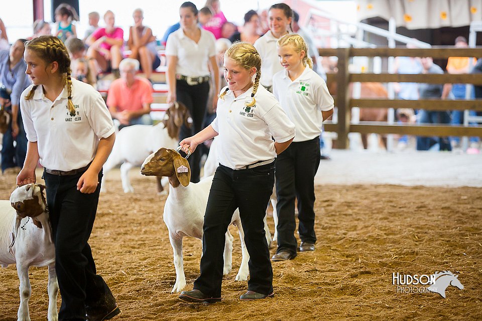 LCFair2016-1648.jpg