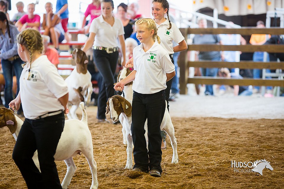 LCFair2016-1649.jpg